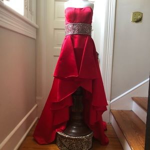 Evening Gown/Prom Dress